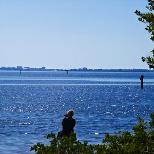 Sarasota Bay Waters – Not Just a Pretty Beach thumbnail