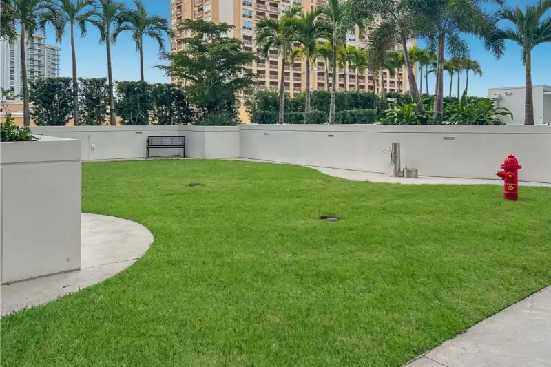 Ritz-Carlton Residences Sarasota dog park